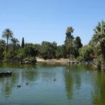 Discovery bike tour of Barcelona - Why You Might Love This Bike Tour