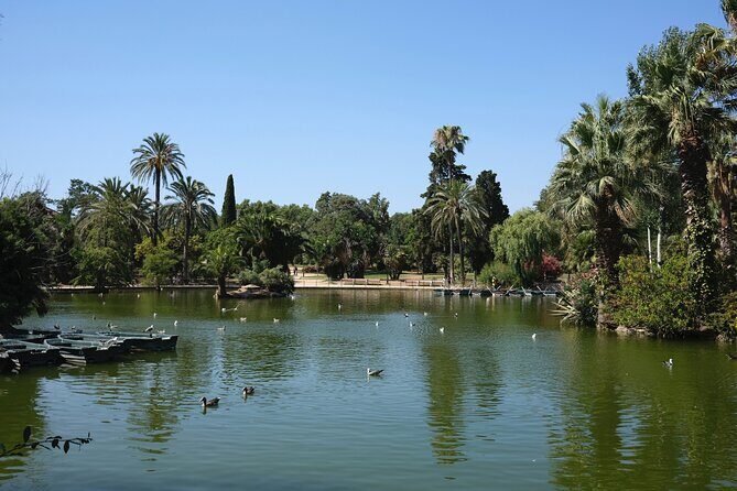 Discovery bike tour of Barcelona - Why You Might Love This Bike Tour