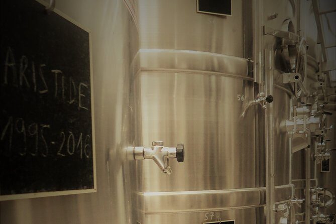 Discovery of a Champagne from Vintner, from the cellar to the tasting - Real Visitors Experiences and Insights