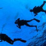 Diving baptism in the Marine Reserve of Cabo Tiñoso - The Environment and Views: Why It Matters