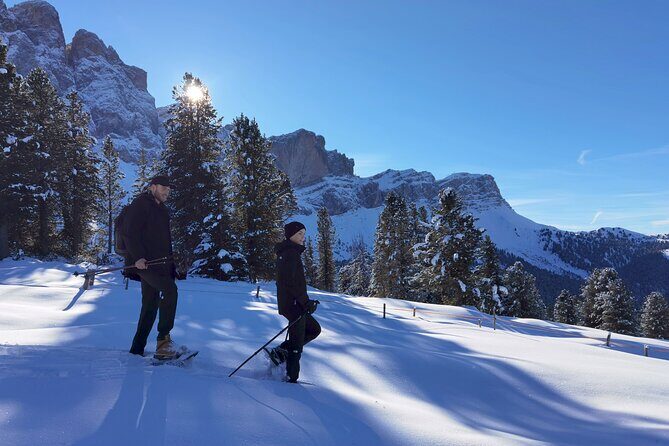 Dolomites of Bolzano Winter Hiking & Sledding Experience - Who Will Love This Tour?