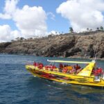 Dolphin Mini Cruise at Playa del Carmen - Final Thoughts