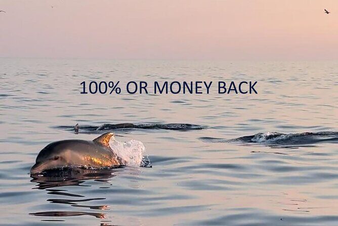 Dolphin Sunset Adventure with Speedboat - The Search for Dolphins