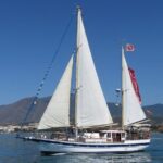 Dolphin Watching Adventure in Estepona Bay - What to Expect on the Dolphin Watching Tour