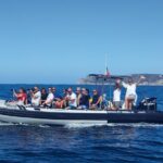 Dolphin Watching and Boat Tour in Sesimbra - Reviews in a Nutshell