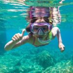 Dolphin Watching and Snorkeling in Figarolo in Sardinia - The Sum Up