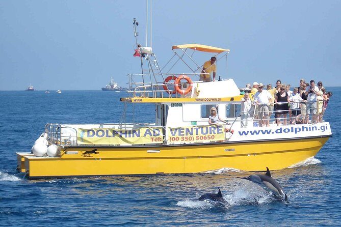 Dolphin Watching Excursion in Gibraltar - Pros and Cons