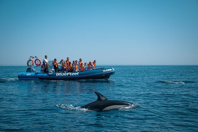 Dolphin Watching from Lagos with Marine Biologists - The Itinerary in Detail