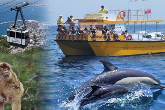Dolphin Watching in Gibraltar & Fast Track Priority Cable Car - Final Thoughts
