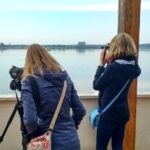 Donana National Park and El Rocío: Guided Tour from Seville - El Rocío: A Village Frozen in Time