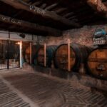 Douro Adventure - Tour 4x4 | Full Day Private Tour | All Included - Who Is This Tour Best Suited For?