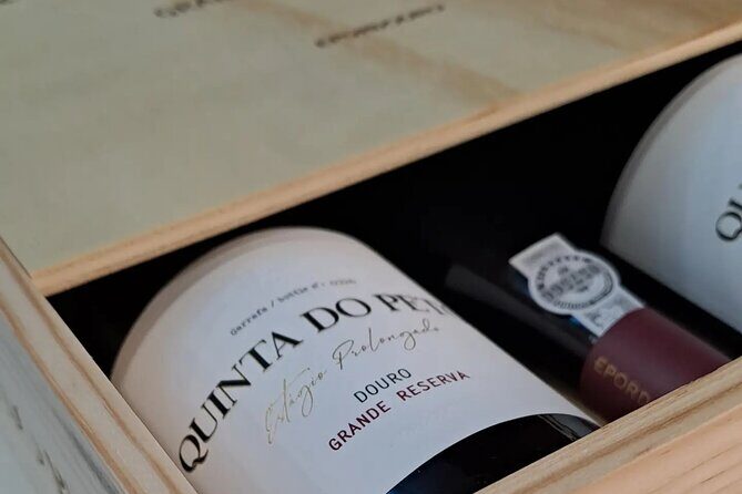 Douro and Port Wine Tasting in Vila Nova de Gaia - The Sum Up