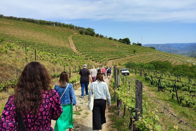 Douro Tour with Wine Tasting, River Cruise and Visit to Lamego - The Itinerary Breakdown