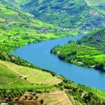 Douro Valley from Porto with Wineries, Lunch and Boat Trip - Final Thoughts: Who Should Consider This Tour?