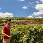 Douro Valley: private tour with lunch and wine estate all inclusive - The Sum Up