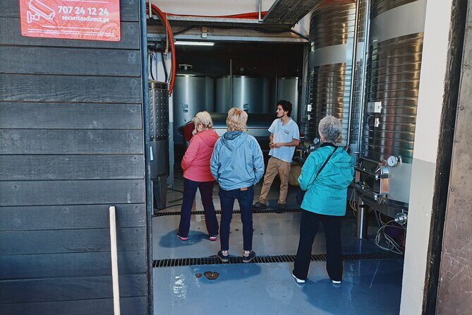 Douro Valley Private Tour with Sommelier - The Experience from Real Travelers