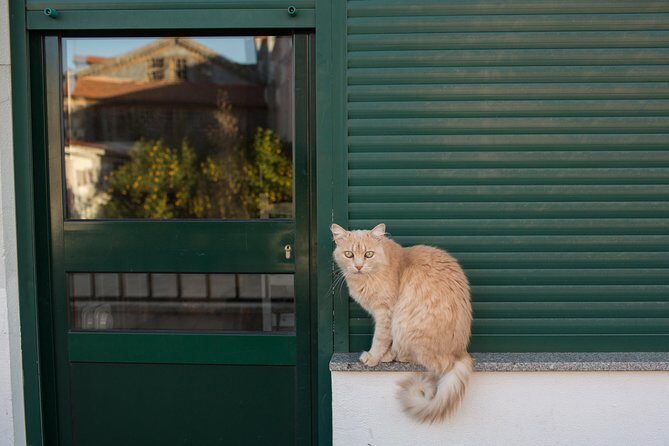 Douro Valley Small-Group Tour with Wine Tasting, Lunch and Boat - FAQ