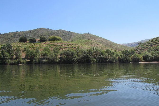 Douro Valley Tour: 2 Vineyard Visits, River Cruise, Winery Lunch - Whats the Real Value?