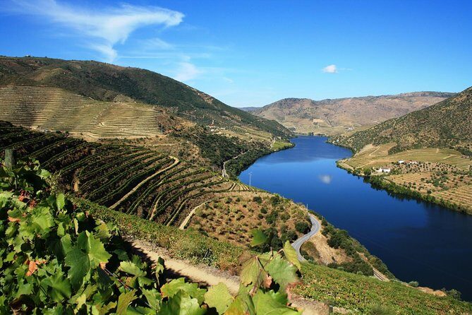 Douro Valley Wine Tour: 3 Vineyard Visits, Wine Tastings, Lunch - The Itinerary Breakdown – What to Expect