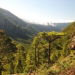 Downtown Route (Price per Vehicle not per person) - How Does the Price Reflect the Value?