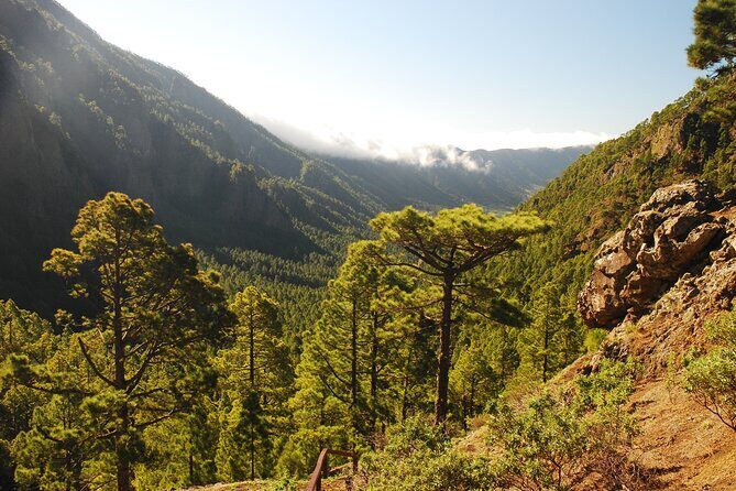 Downtown Route (Price per Vehicle not per person) - How Does the Price Reflect the Value?