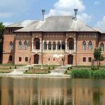 Dracula's Tomb and Mogosoaia Palace, Private Tour from Bucharest - The Experience of the Guide: Radu’s Role