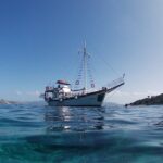 Dreamy Sails Daily Cruises at Argostoli Kefalonia Island - Who Would Love This Tour?