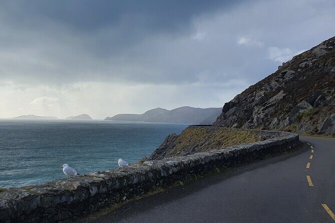 Dublin Airport to Galway ,Private Chauffeur Service - The Sum Up