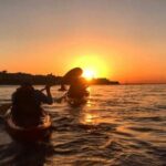 Dublin Bay Seal Kayaking Safari at Dalkey - The Value for Your Money