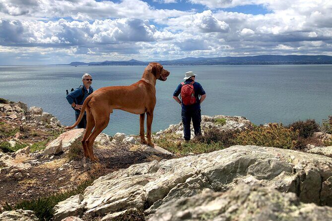 Dublin Coastal Hike with Howth Adventures - Exploring Howth’s Harbour and Village