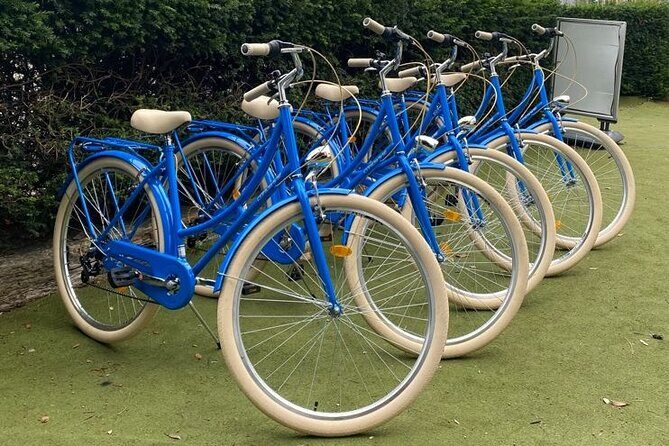 Dublin Full Day Bike Rental - What You Can Expect on Your Ride