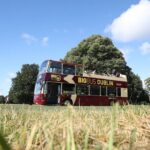 Dublin Shore Excursion, Live Guided Open-top, Hop-on Hop-off Sightseeing Tour - How It Compares to Other Dublin Tours