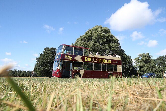 Dublin Shore Excursion, Live Guided Open-top, Hop-on Hop-off Sightseeing Tour - How It Compares to Other Dublin Tours