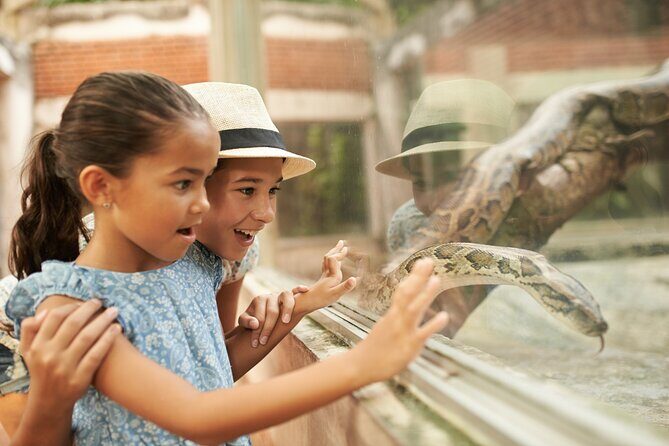 Dublin Zoo Skip-the-line Tickets and Private Transfers - Who Is This Tour Best Suited For?