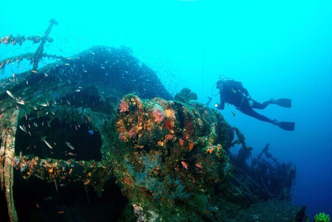 Dubrovnik 1 Dive for Certified Divers - Equipment and Extras