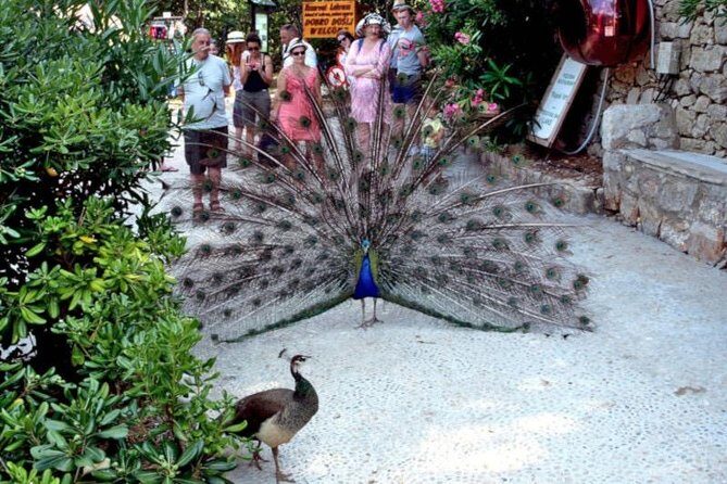 Dubrovnik: Game of Thrones Tour with visit to Lokrum Island - What We Love About This Tour