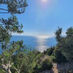 Dubrovnik Private Wine Tasting Tour To Peljesac - Practical Considerations