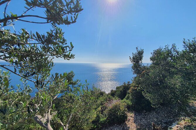 Dubrovnik Private Wine Tasting Tour To Peljesac - Practical Considerations