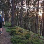 E-Bike excursions from Wareham, Dorset - Who Will Love This Tour?