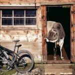 E-Bike Food and Wine Tour in the Sorrento Peninsula - The Experience Factor