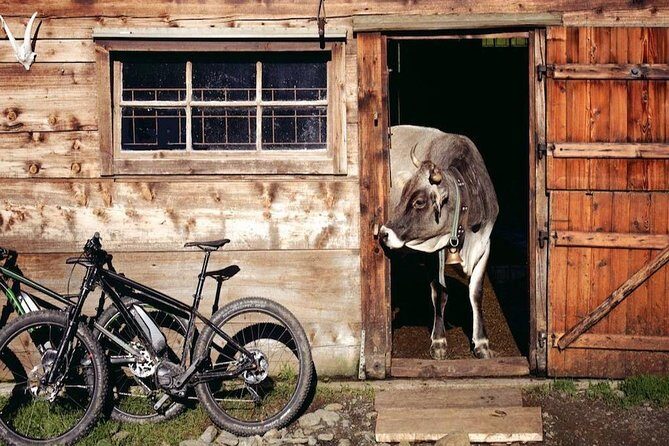 E-Bike Food and Wine Tour in the Sorrento Peninsula - The Experience Factor