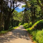 E-Bike Self-Guided Sintra - Cascais (Private Tour from Lisbon) - Final Thoughts