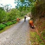 E-Bike Tour - The Sum Up