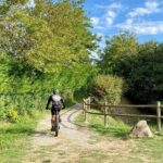 E-Bike tour and Wine tasting from Desenzano Inland - What You Can Expect in Terms of Value