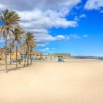 E-bike Tour: Beaches, & City of Arts and Sciences (From 30,00) - The Practicalities of the Tour