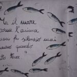 e-bike tour from Polignano a Mare to the fishing village S. Vito - The Practicalities: What You Need to Know