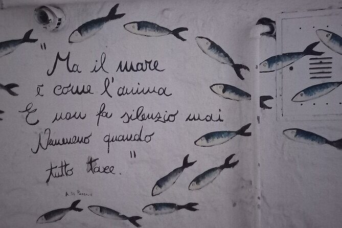 e-bike tour from Polignano a Mare to the fishing village S. Vito - The Practicalities: What You Need to Know