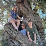 E-bike tour in Ostuni. Oil mill, Dolmen and huge olive trees - Practical Details and Logistics