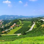 E-Bike Tour Lake Como and Swiss Vineyards - FAQ