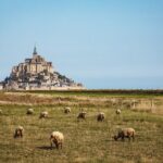 E-Bike Tour to Mont Saint Michel // Private guided tour - Why the Guides Make a Difference